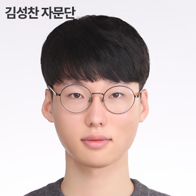 김성찬 자문단