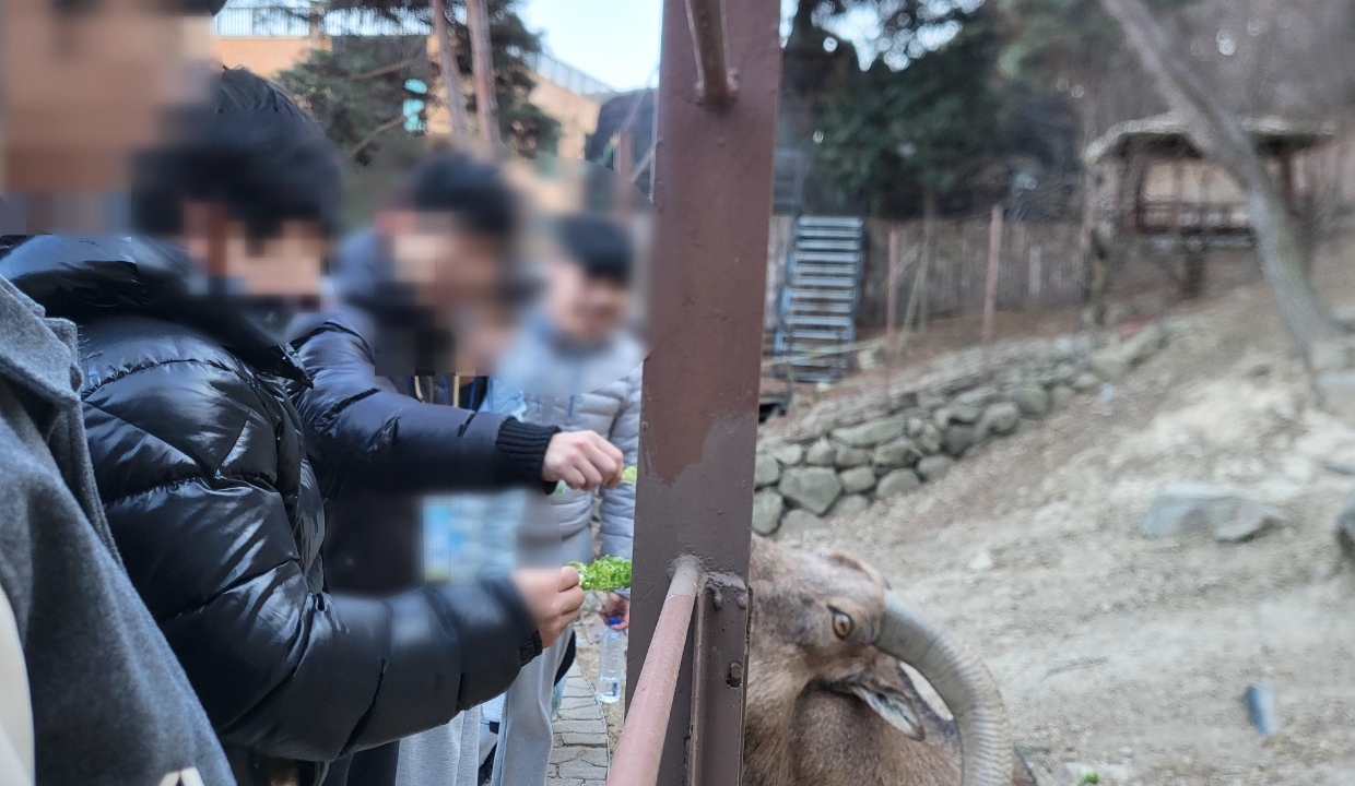 주말활동(네이처파크) 운영